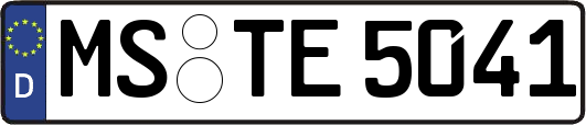 MS-TE5041