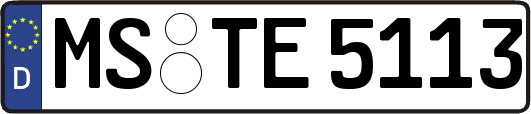 MS-TE5113