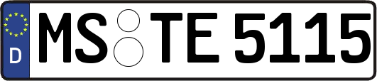 MS-TE5115