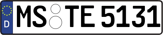 MS-TE5131