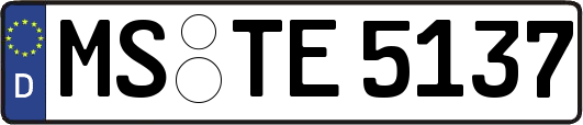 MS-TE5137