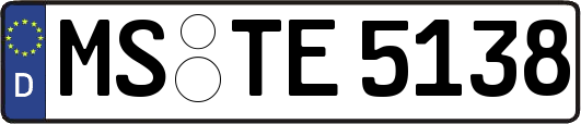 MS-TE5138