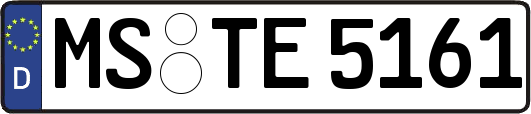 MS-TE5161