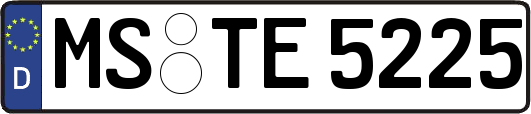 MS-TE5225