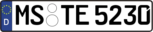 MS-TE5230