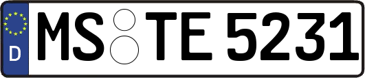 MS-TE5231