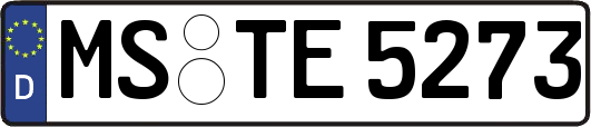 MS-TE5273