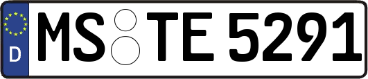 MS-TE5291