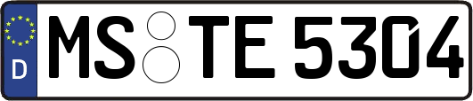 MS-TE5304