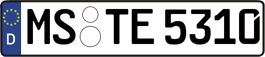 MS-TE5310