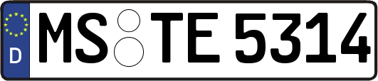 MS-TE5314
