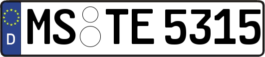 MS-TE5315