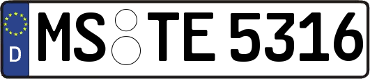 MS-TE5316