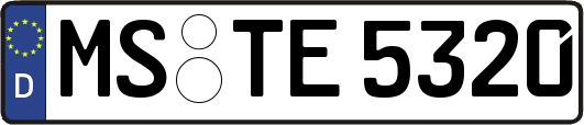 MS-TE5320