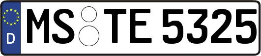 MS-TE5325