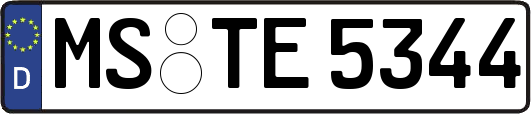 MS-TE5344