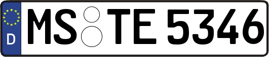 MS-TE5346