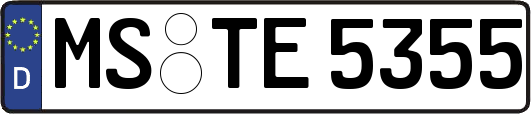 MS-TE5355