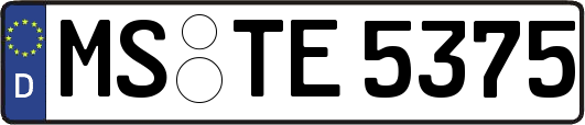 MS-TE5375