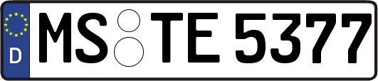 MS-TE5377