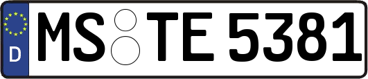 MS-TE5381