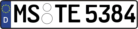 MS-TE5384