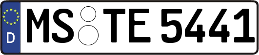 MS-TE5441