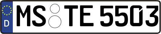 MS-TE5503