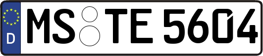 MS-TE5604