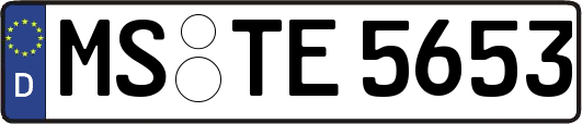 MS-TE5653
