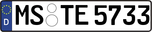 MS-TE5733