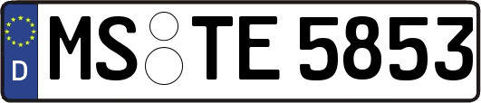 MS-TE5853