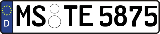 MS-TE5875