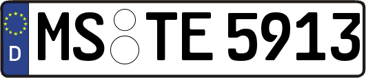 MS-TE5913