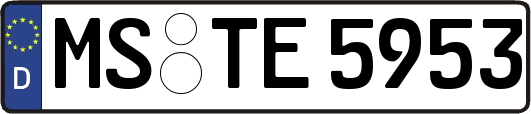 MS-TE5953