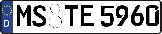 MS-TE5960