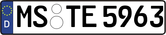 MS-TE5963