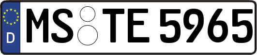 MS-TE5965
