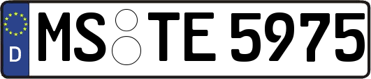MS-TE5975