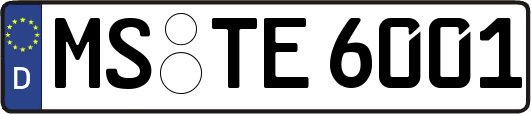 MS-TE6001