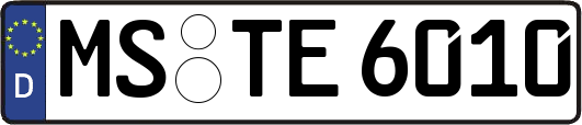 MS-TE6010