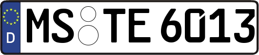 MS-TE6013
