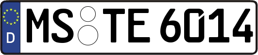 MS-TE6014
