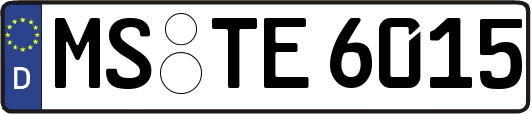 MS-TE6015