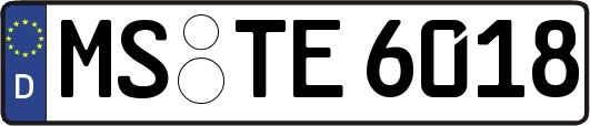 MS-TE6018