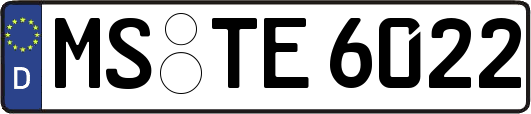 MS-TE6022