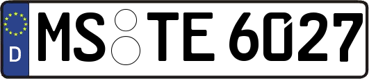 MS-TE6027