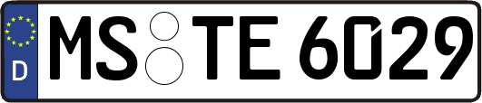 MS-TE6029