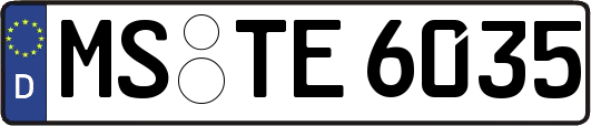 MS-TE6035