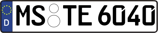 MS-TE6040